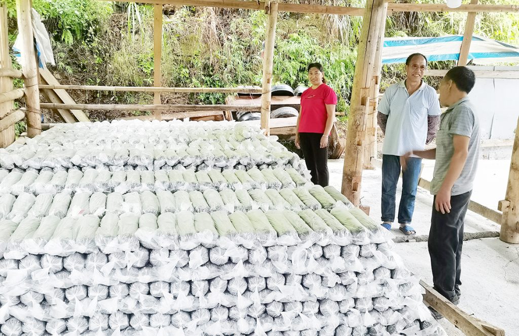 不朽情缘MG官方网站(试玩)游戏登录入口