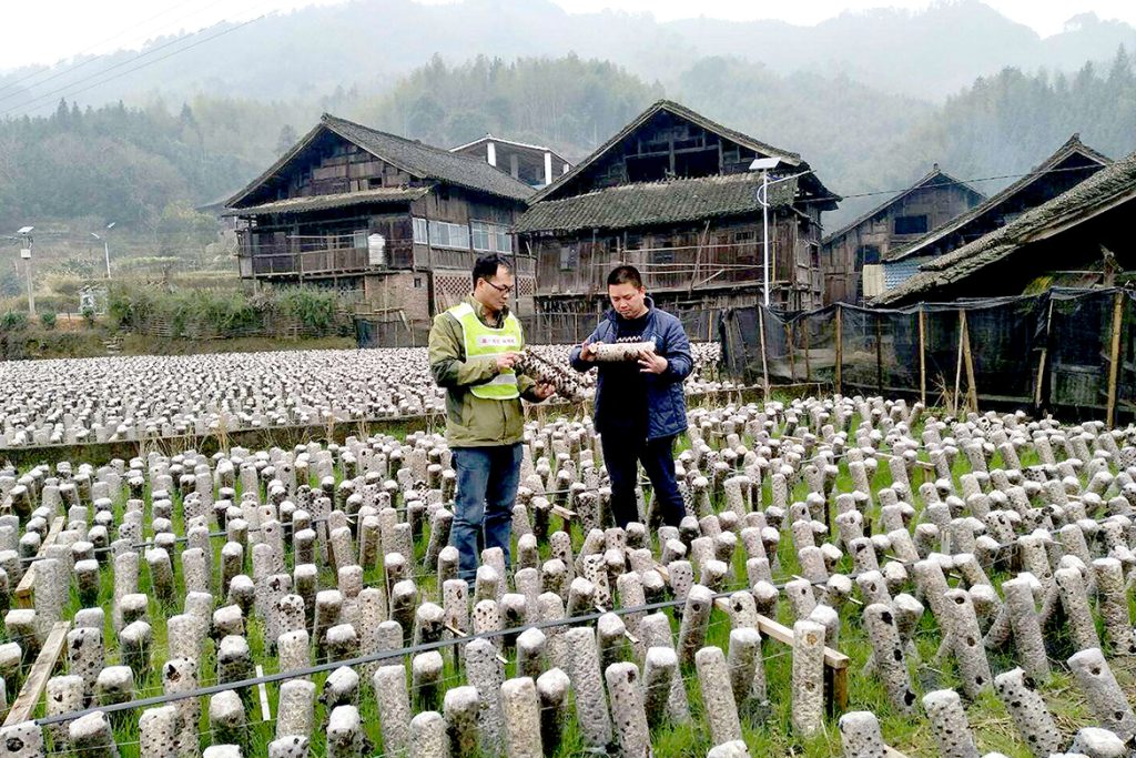 不朽情缘MG官方网站(试玩)游戏登录入口