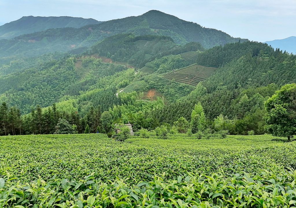 不朽情缘MG官方网站(试玩)游戏登录入口