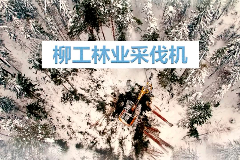 不朽情缘MG官方网站(试玩)游戏登录入口