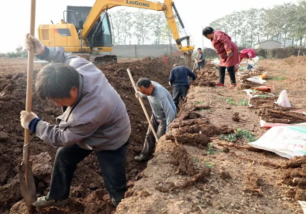 不朽情缘MG官方网站(试玩)游戏登录入口